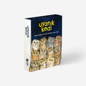 Uyanık Kedi